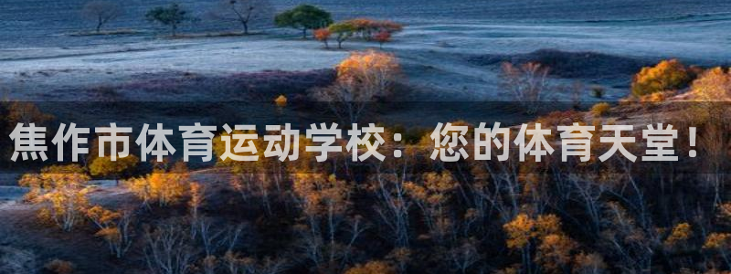 一竞技官方正版app开户:焦作市体育运动学校:您的体育天堂!