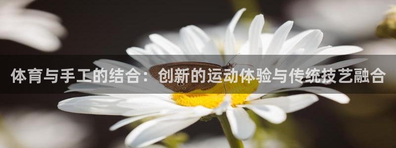 一竞技官网下载平台注册流程视频:体育与手工的结合:创新的运动